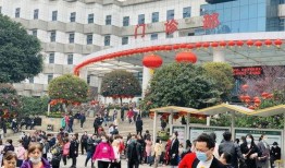 重庆爆料大足事件最新,揭秘背后真相与影响